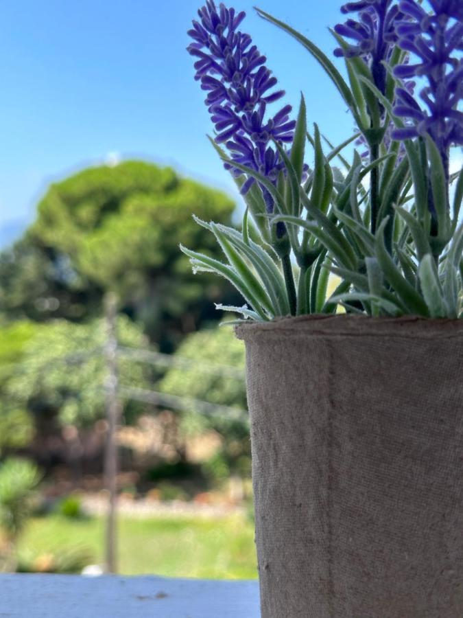 Olia Apartment Corfu  Bagian luar foto