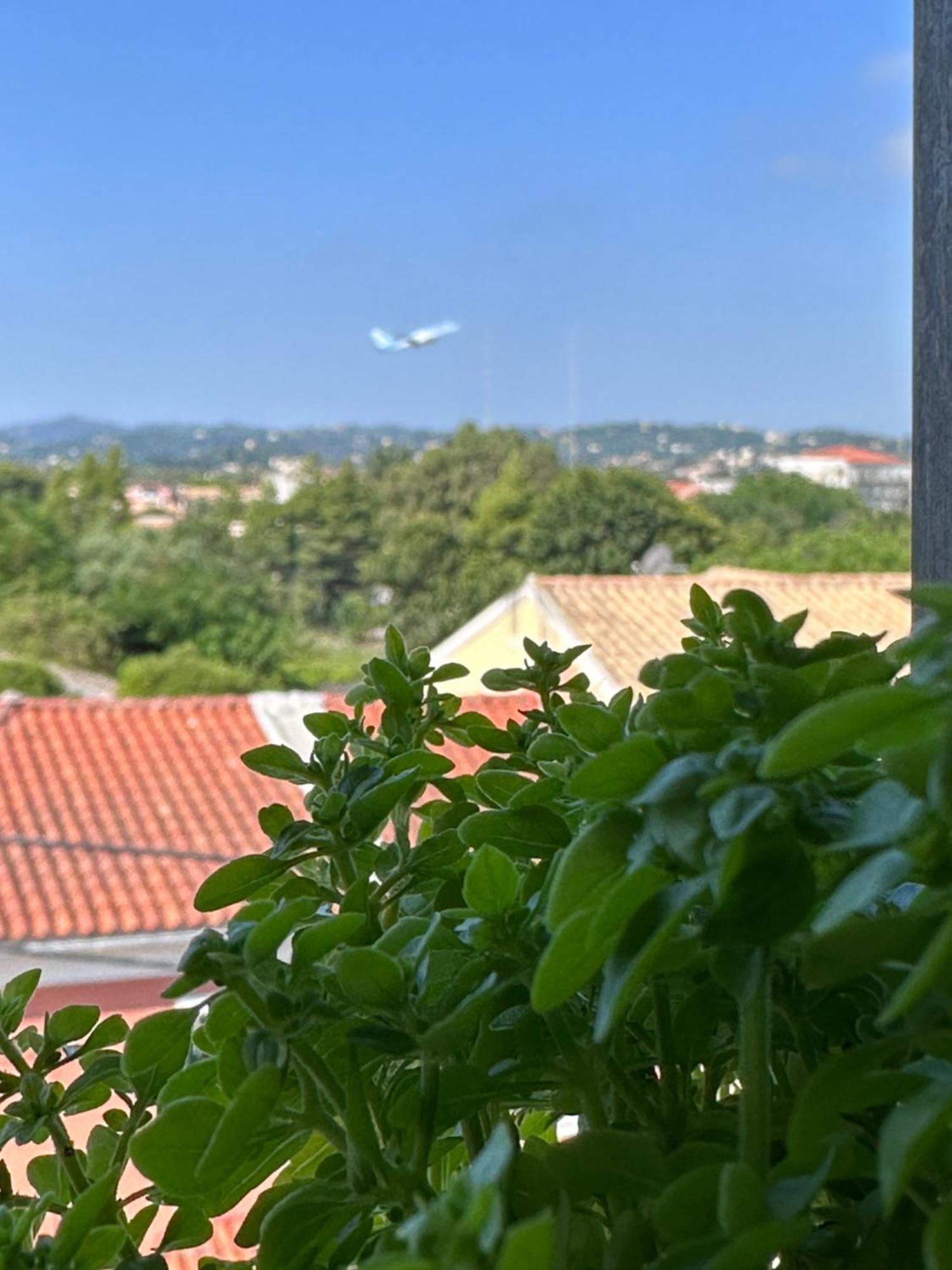 Olia Apartment Corfu  Bagian luar foto